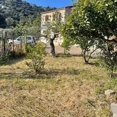 Grand F4 Rez De Jardin * Ajaccio (Corsica)